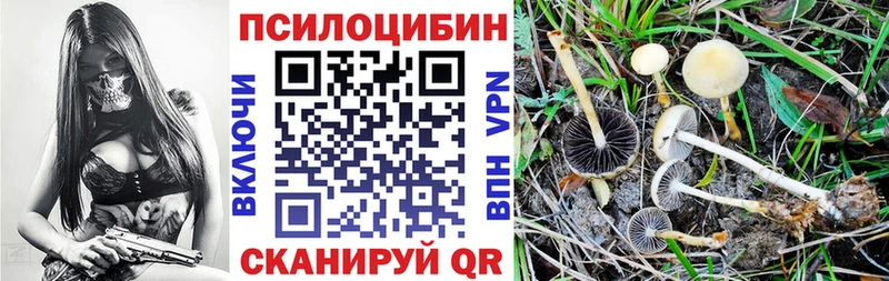 Галлюциногенные грибы Psilocybe  магазин продажи   Рудня 